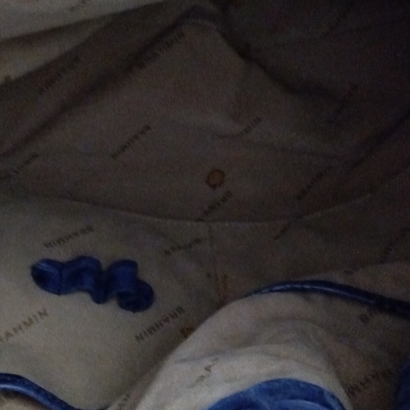 Blue Brahmin - Picture 2 of 4